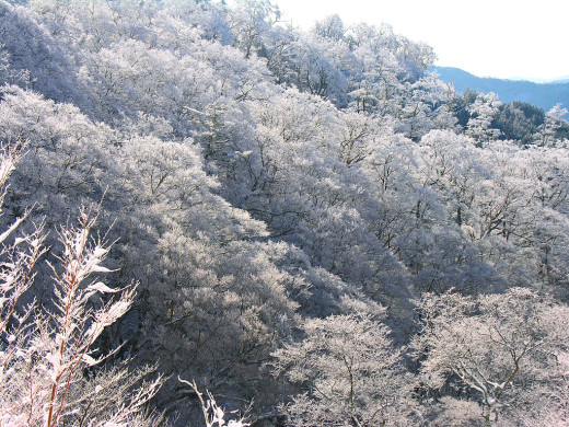 48546 (a): :1024x768